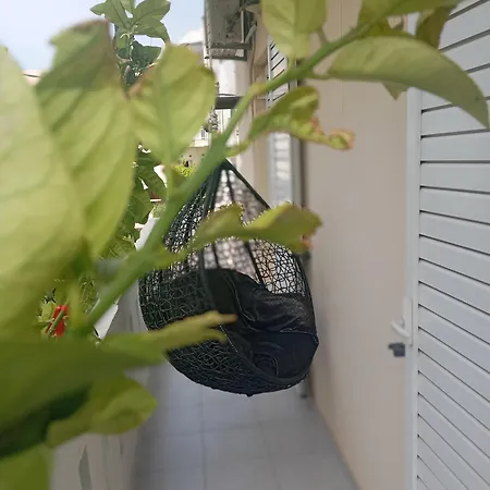 Apartmán 4y In